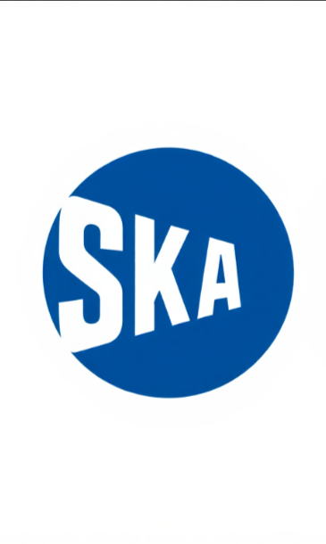 SKATAMAN X MTA
